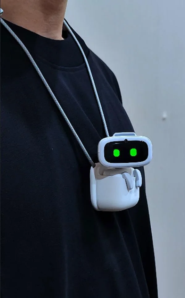 AIBI attached to clothing during an outing